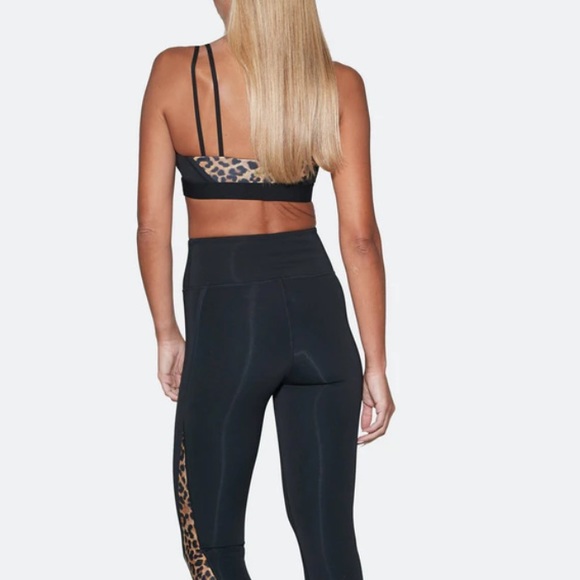 Aurum Animal Print Bravery Sports Bra - Picture 2 of 9